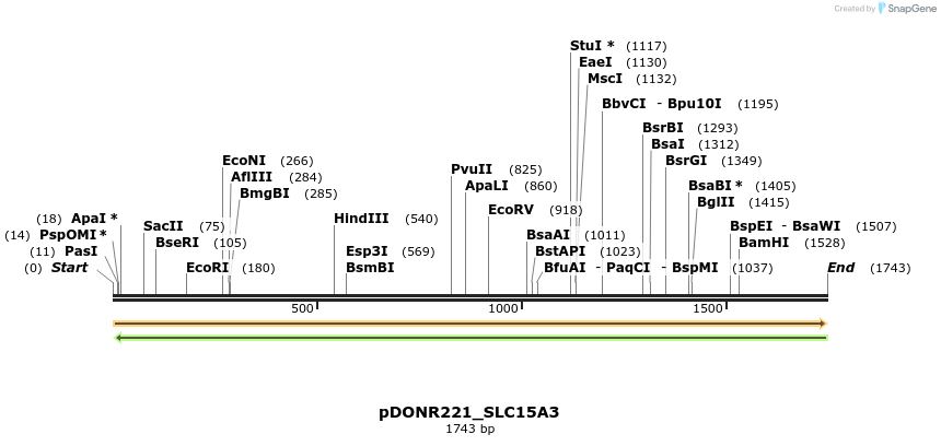 253196_map