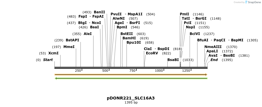 253198_map