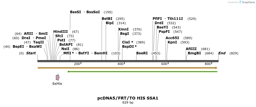25320_map