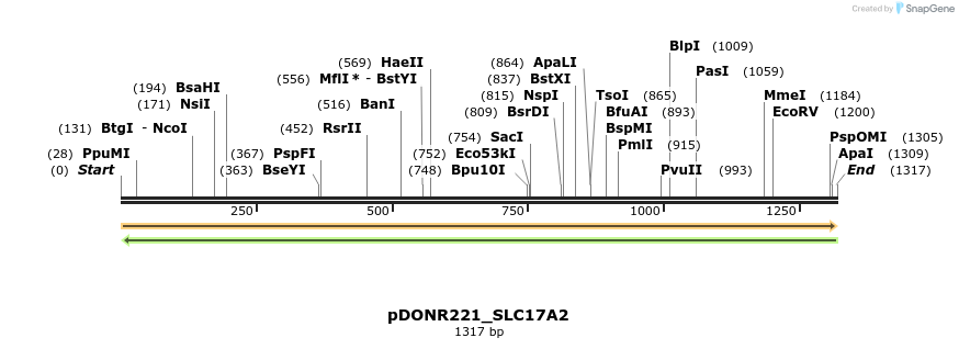 253200_map
