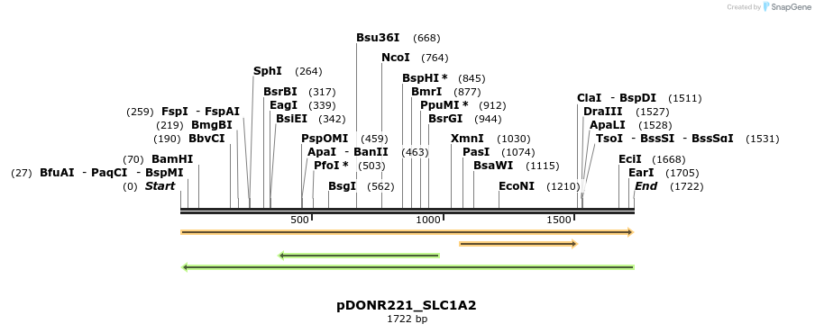 253202_map