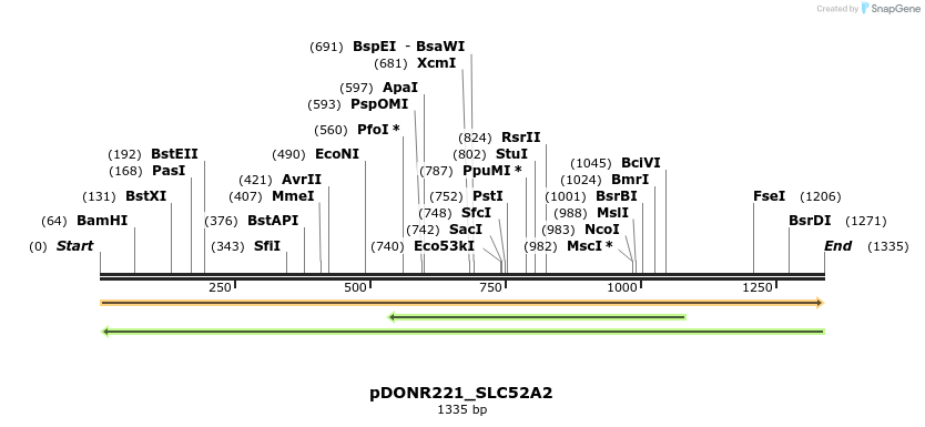 253204_map