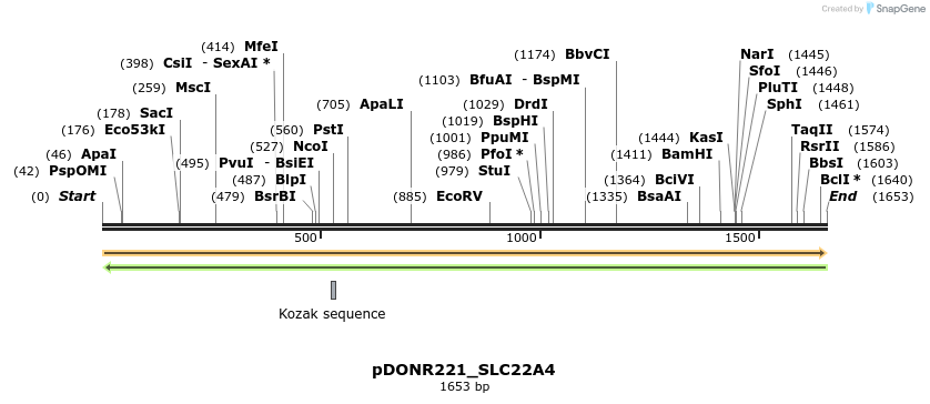 253206_map