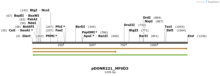253210_map