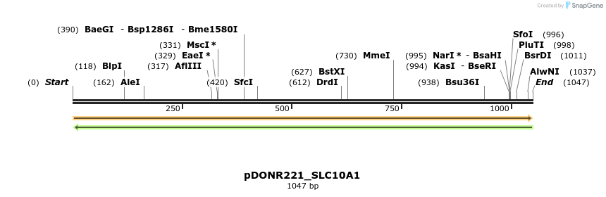 253214_map