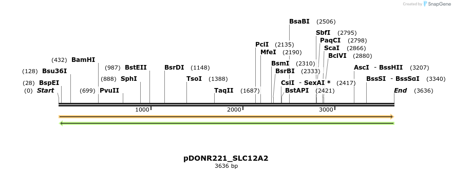 253216_map