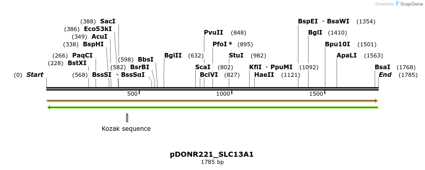 253218_map