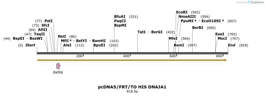 25322_map