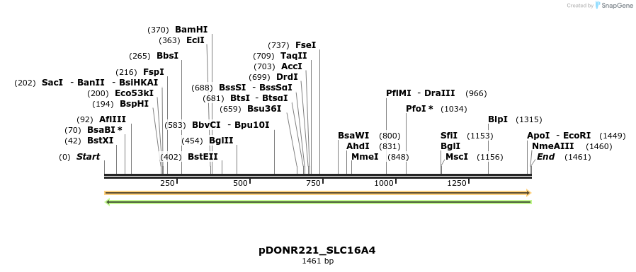 253222_map