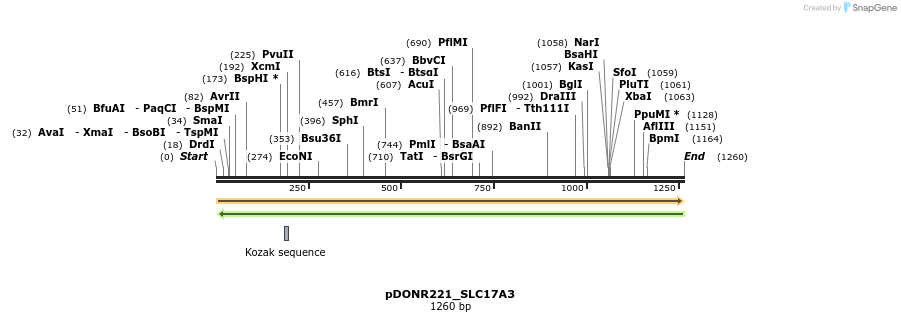 253224_map