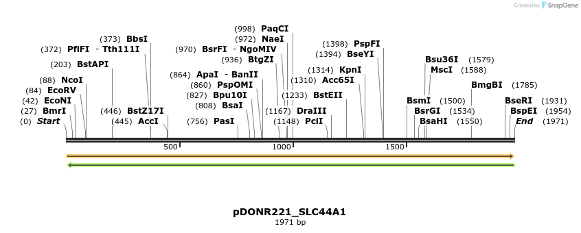 253226_map