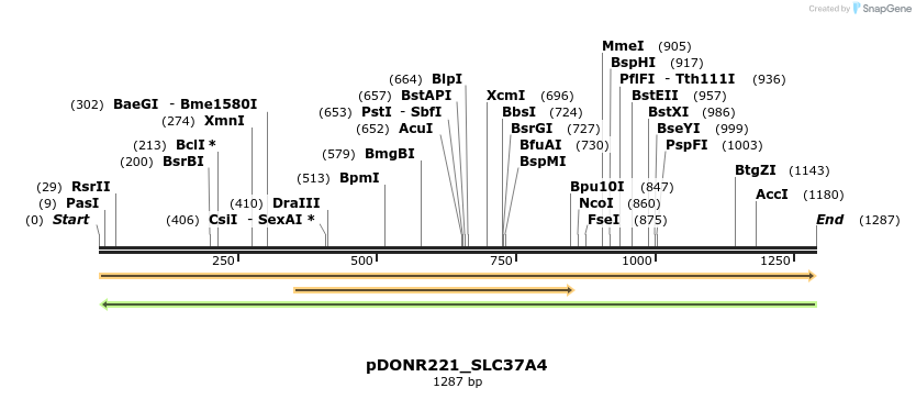 253228_map