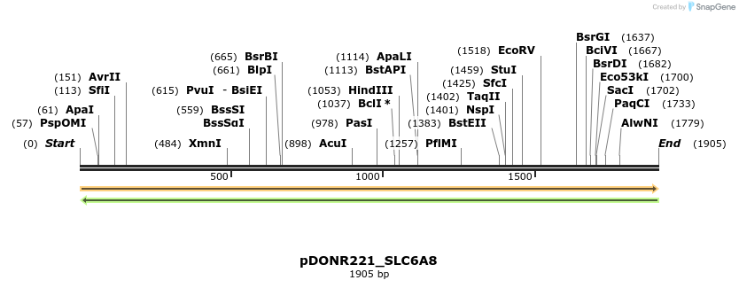 253230_map