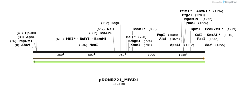253232_map