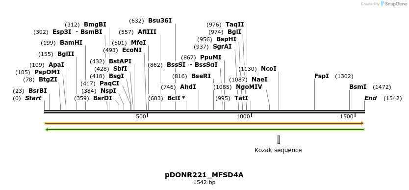 253234_map