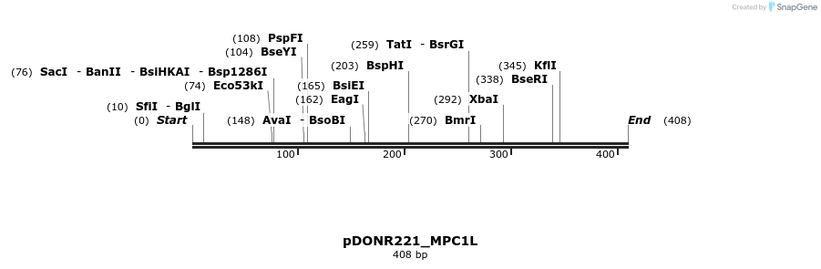 253236_map
