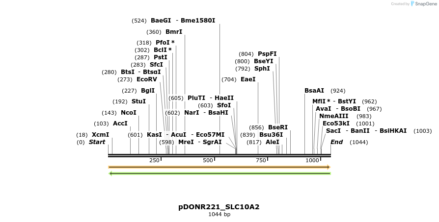 253238_map