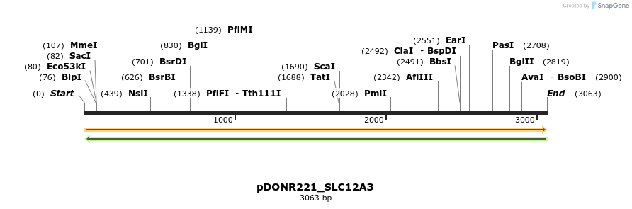 253240_map
