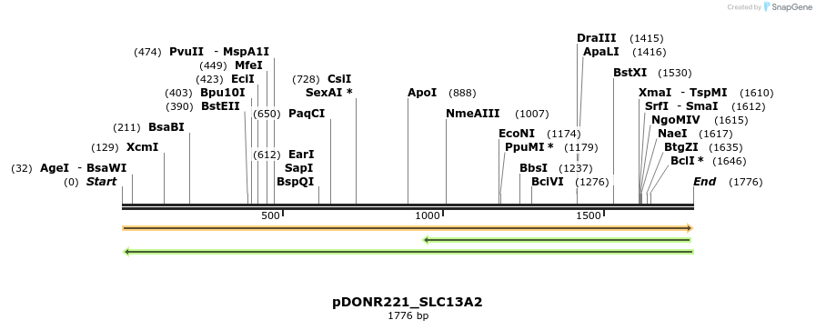 253242_map