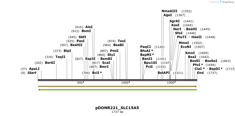 253244_map