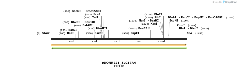 253248_map
