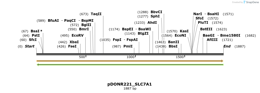 253250_map