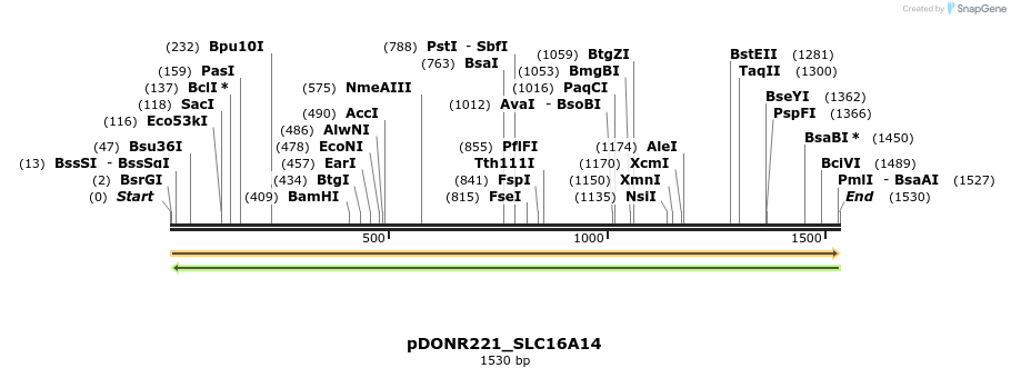 253252_map