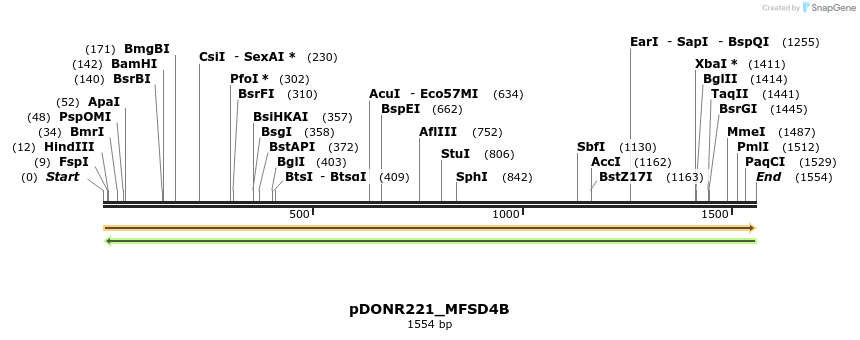 253258_map