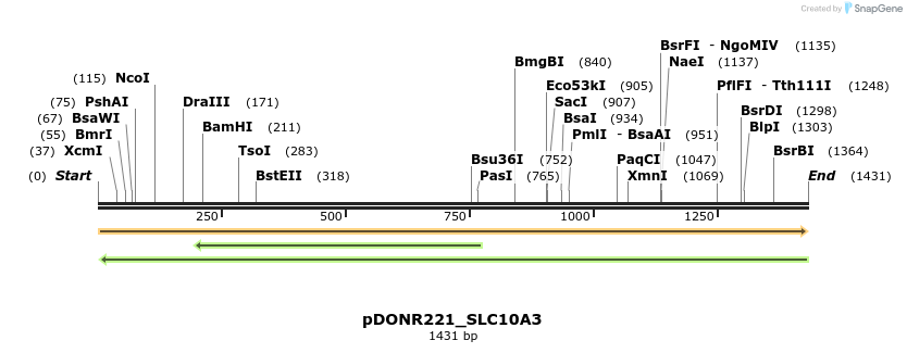 253262_map