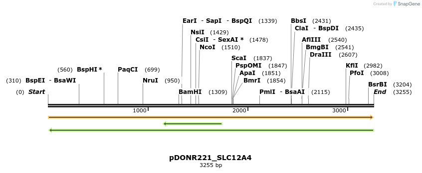 253264_map