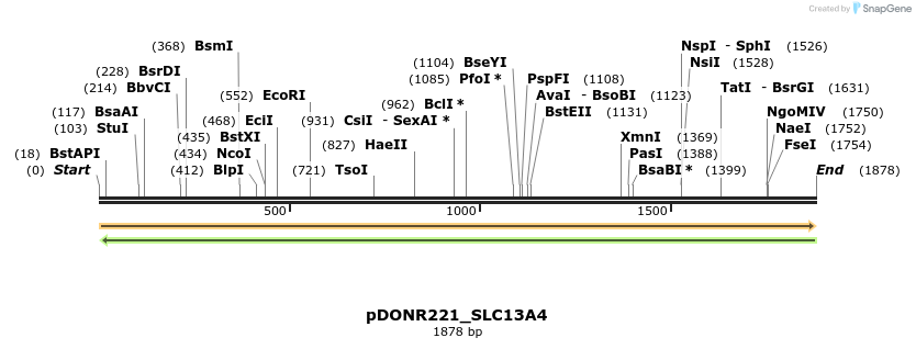 253266_map