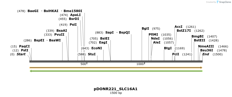 253268_map