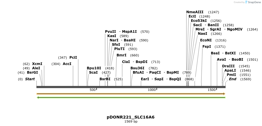 253270_map