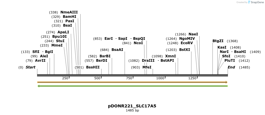 253272_map