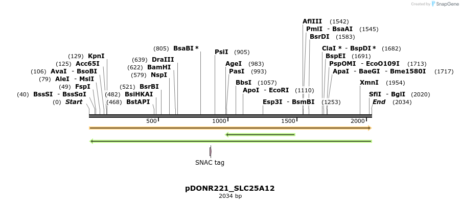 253276_map