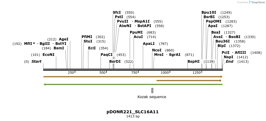 253278_map