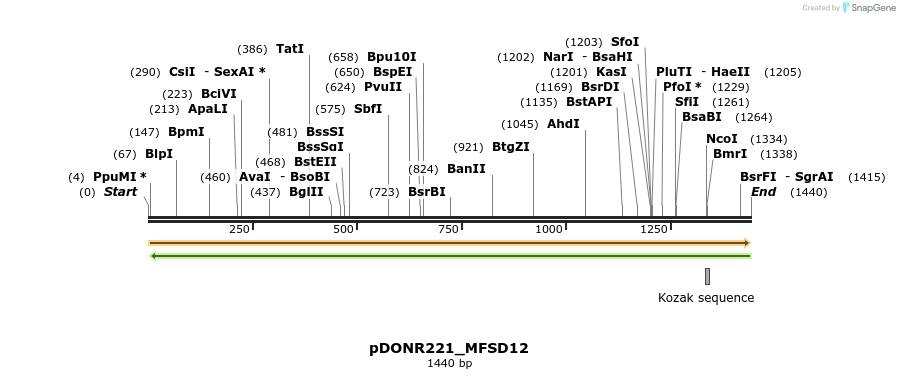 253280_map