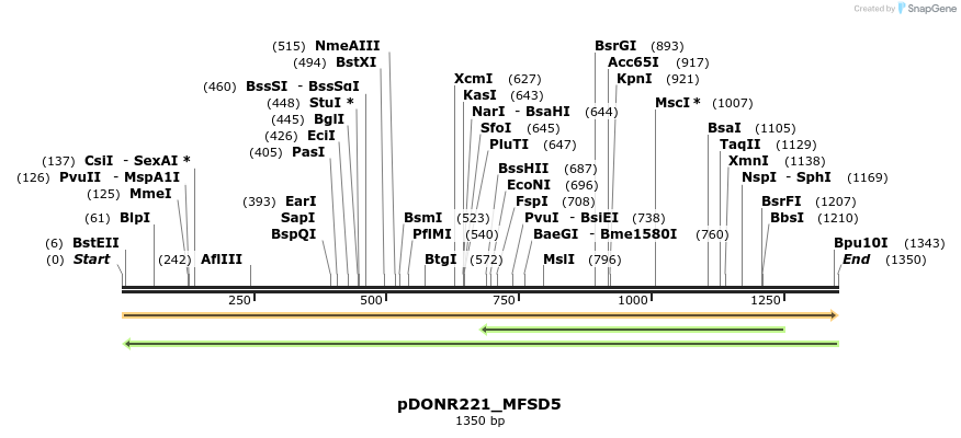 253282_map
