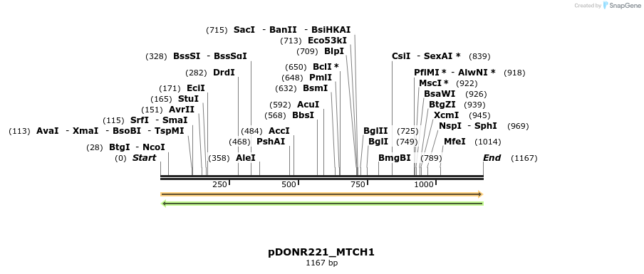 253284_map