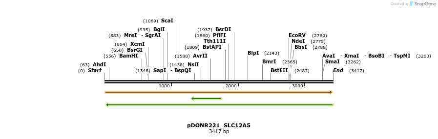 253288_map