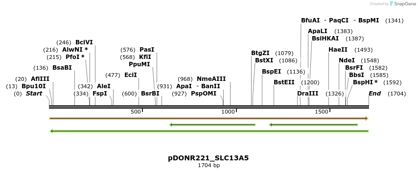253290_map