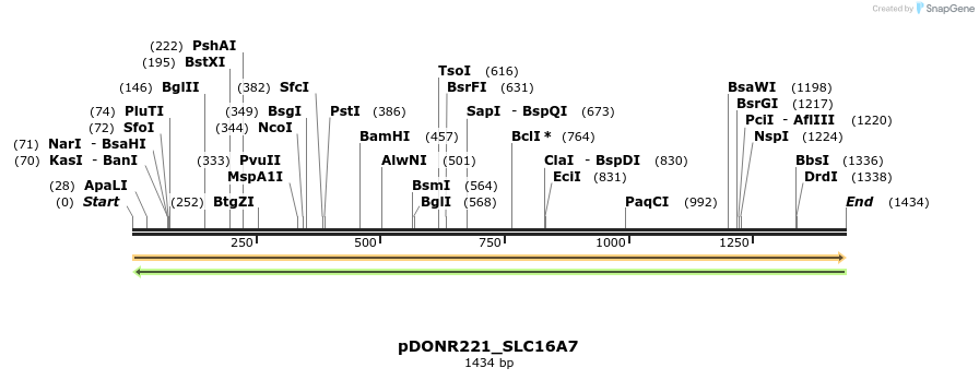 253294_map