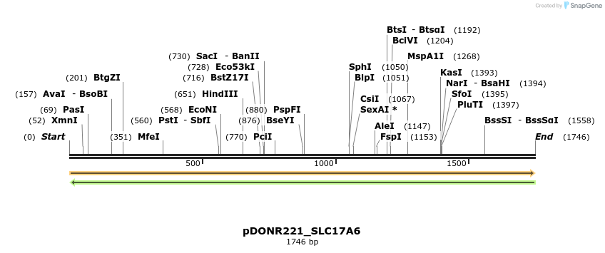 253296_map