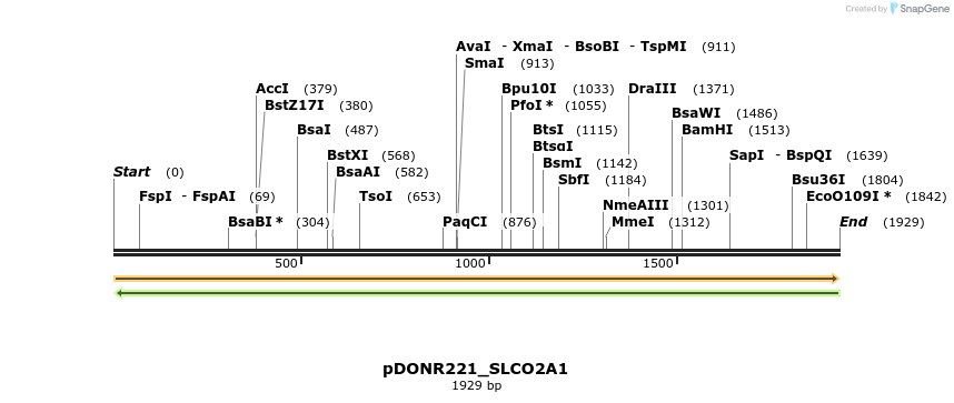 253298_map