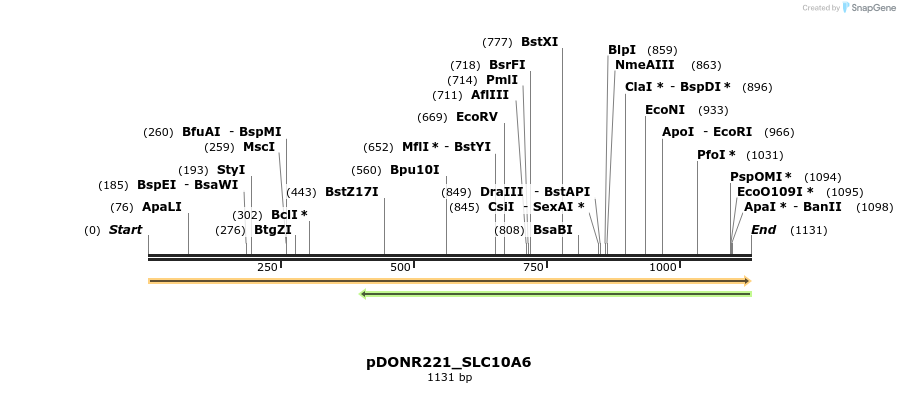 253300_map