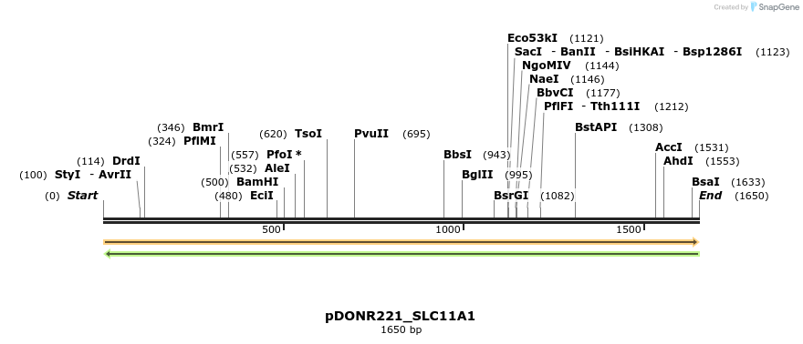 253302_map