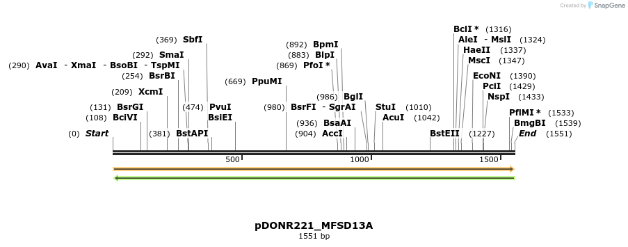 253304_map