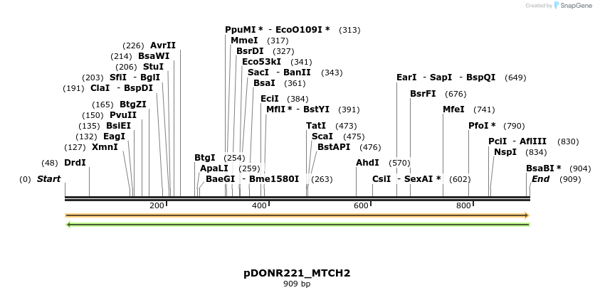 253308_map