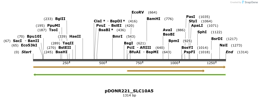 253310_map