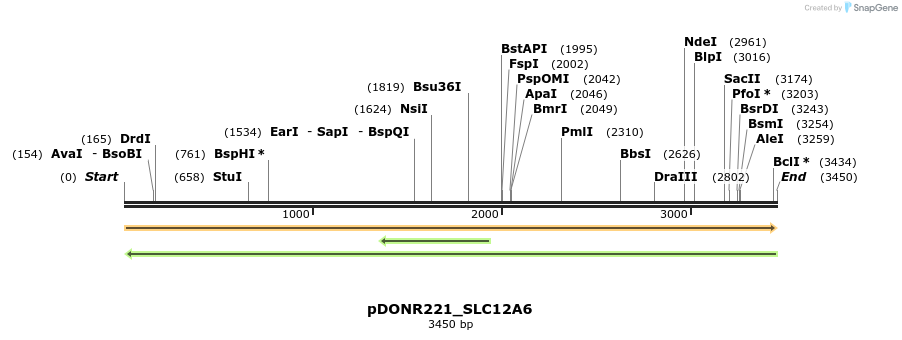 253312_map